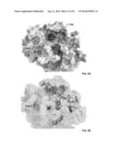 TARGET OF THE PHOSPHOINOSITIDE 3-KINASE PATHWAY diagram and image