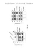 TARGET OF THE PHOSPHOINOSITIDE 3-KINASE PATHWAY diagram and image