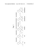 METHOD FOR PRODUCING MONATIN USING AN L-AMINO ACID AMINOTRANSFERASE diagram and image