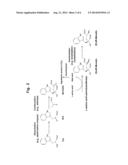 METHOD FOR PRODUCING MONATIN USING AN L-AMINO ACID AMINOTRANSFERASE diagram and image