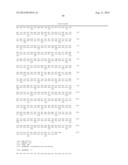 METHOD FOR PRODUCING MONATIN USING AN L-AMINO ACID AMINOTRANSFERASE diagram and image