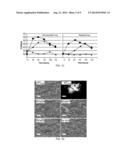 Viruses Lacking Epithelial Cell Receptor Entry diagram and image