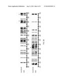 Viruses Lacking Epithelial Cell Receptor Entry diagram and image