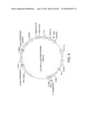 Engineered Cellular Pathways for Programmed Autoregulation of     Differentiation diagram and image