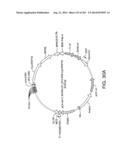 Engineered Cellular Pathways for Programmed Autoregulation of     Differentiation diagram and image