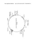 Engineered Cellular Pathways for Programmed Autoregulation of     Differentiation diagram and image