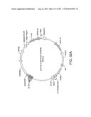 Engineered Cellular Pathways for Programmed Autoregulation of     Differentiation diagram and image