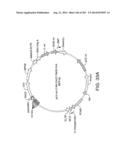 Engineered Cellular Pathways for Programmed Autoregulation of     Differentiation diagram and image