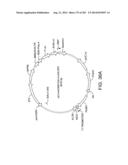 Engineered Cellular Pathways for Programmed Autoregulation of     Differentiation diagram and image