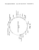 Engineered Cellular Pathways for Programmed Autoregulation of     Differentiation diagram and image