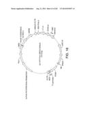 Engineered Cellular Pathways for Programmed Autoregulation of     Differentiation diagram and image