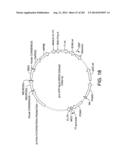 Engineered Cellular Pathways for Programmed Autoregulation of     Differentiation diagram and image