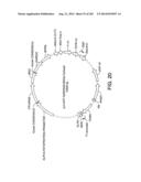 Engineered Cellular Pathways for Programmed Autoregulation of     Differentiation diagram and image