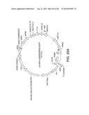 Engineered Cellular Pathways for Programmed Autoregulation of     Differentiation diagram and image