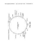 Engineered Cellular Pathways for Programmed Autoregulation of     Differentiation diagram and image