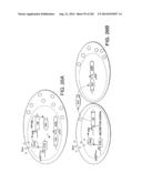 Engineered Cellular Pathways for Programmed Autoregulation of     Differentiation diagram and image