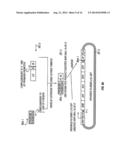 GENE DELIVERY SYSTEM AND METHOD OF USE diagram and image