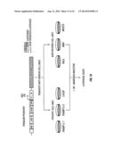 GENE DELIVERY SYSTEM AND METHOD OF USE diagram and image