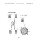 SYNTHETIC SINGLE CHAIN VARIABLE DOMAIN (SCFV) IMMUNOGLOBULIN FRAGMENT     VEHICLE CONTAINING FUSION PROTEINS FOR TARGETED INTRODUCTION OF siRNA diagram and image