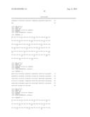 SYNTHETIC SINGLE CHAIN VARIABLE DOMAIN (SCFV) IMMUNOGLOBULIN FRAGMENT     VEHICLE CONTAINING FUSION PROTEINS FOR TARGETED INTRODUCTION OF siRNA diagram and image