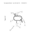 SYSTEMS AND METHODS FOR GENETIC AND BIOLOGICAL ANALYSIS diagram and image