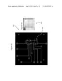 SYSTEMS AND METHODS FOR GENETIC AND BIOLOGICAL ANALYSIS diagram and image