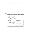 METHODS AND COMPOSITIONS FOR THE DETECTION OF BALANCED RECIPROCAL     TRANSLOCATIONS/REARRANGEMENTS diagram and image