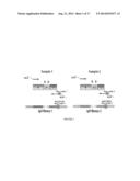 Measurement and Monitoring of Cell Clonality diagram and image