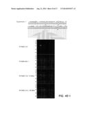 Measurement and Monitoring of Cell Clonality diagram and image