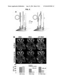 RNA ARRAY COMPOSITIONS AND METHODS diagram and image