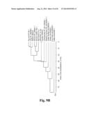 Stabilized Insulin-like Growth Factor Polypeptides diagram and image