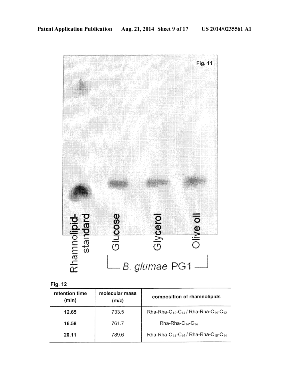 MEANS AND METHODS FOR RHAMNOLIPID PRODUCTION - diagram, schematic, and image 10