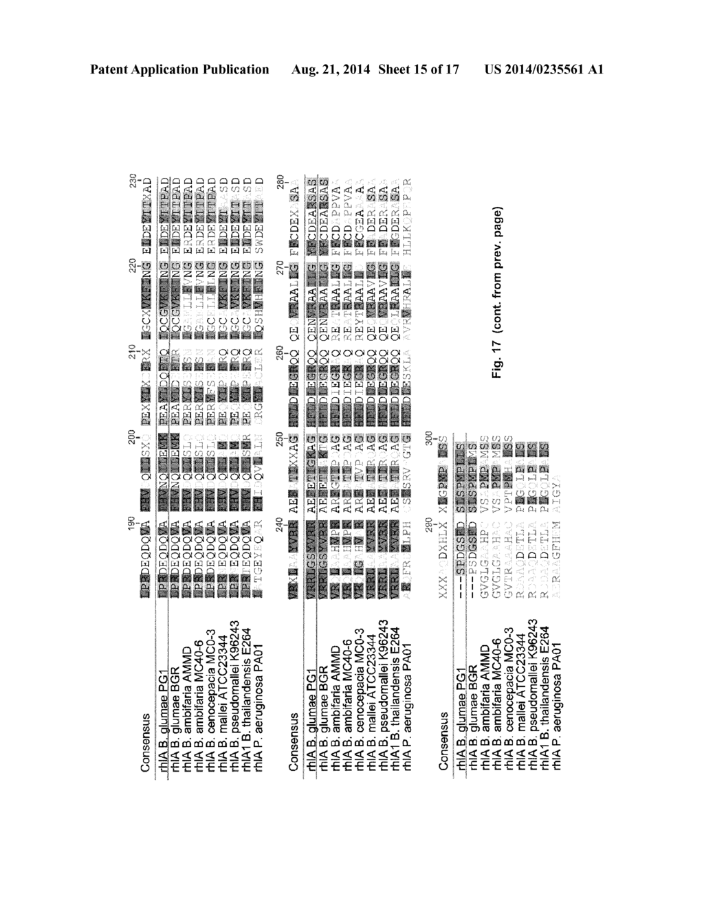 MEANS AND METHODS FOR RHAMNOLIPID PRODUCTION - diagram, schematic, and image 16