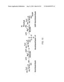 CHEMOENZYMATIC SYNTHESIS OF HEPARIN AND HEPARAN SULFATE ANALOGS diagram and image