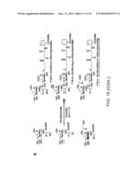 CHEMOENZYMATIC SYNTHESIS OF HEPARIN AND HEPARAN SULFATE ANALOGS diagram and image