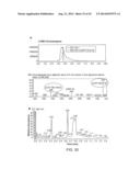 CHEMOENZYMATIC SYNTHESIS OF HEPARIN AND HEPARAN SULFATE ANALOGS diagram and image