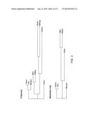 MODULATION OF CHEMOSENSORY RECEPTORS AND LIGANDS ASSOCIATED THEREWITH diagram and image