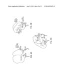 MODULATION OF CHEMOSENSORY RECEPTORS AND LIGANDS ASSOCIATED THEREWITH diagram and image