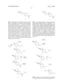 Inhibitors of the Renal Outer Medullary Potassium Channel diagram and image