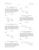 Inhibitors of the Renal Outer Medullary Potassium Channel diagram and image