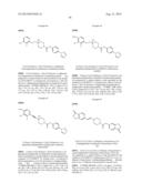 Inhibitors of the Renal Outer Medullary Potassium Channel diagram and image