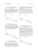 Inhibitors of the Renal Outer Medullary Potassium Channel diagram and image