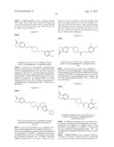 Inhibitors of the Renal Outer Medullary Potassium Channel diagram and image