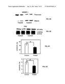 Methods and Compositions for the Treatment of Body Weight Related     Disorders diagram and image