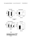 Methods and Compositions for the Treatment of Body Weight Related     Disorders diagram and image