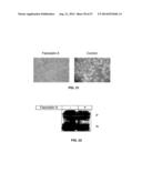 Methods and Compositions for the Treatment of Body Weight Related     Disorders diagram and image