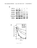 USE OF PHOSPHATASE INHIBITORS OR HISTONE DEACETYLASE INHIBITORS TO TREAT     DISEASES CHARACTERIZED BY LOSS OF PROTEIN FUNCTION diagram and image
