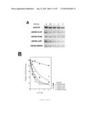 USE OF PHOSPHATASE INHIBITORS OR HISTONE DEACETYLASE INHIBITORS TO TREAT     DISEASES CHARACTERIZED BY LOSS OF PROTEIN FUNCTION diagram and image