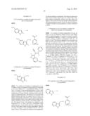 USE OF DERIVATIVES OF INDOLES FOR THE TREATMENT OF CANCER diagram and image