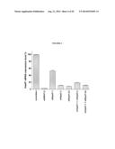 MODULATION OF HSP47 EXPRESSION diagram and image